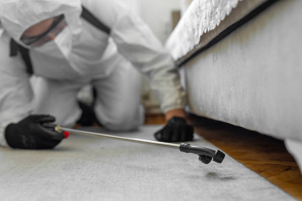 Professional Termite Control technician working in Gore, OK