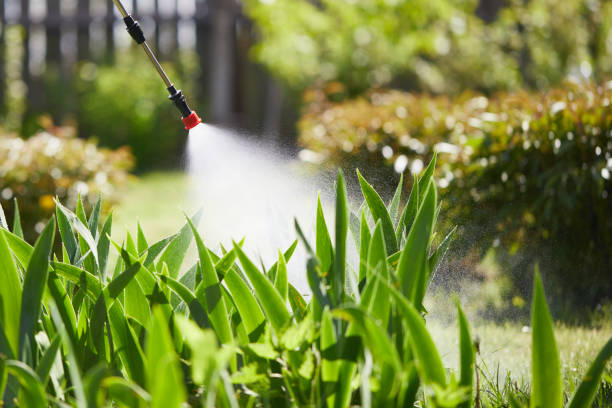 24/7 Emergency Termite Control experts in Gore, OK